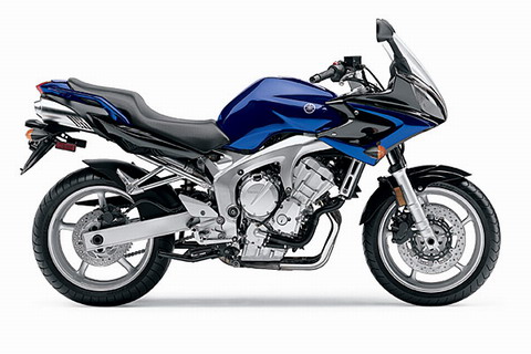 FZ6-1